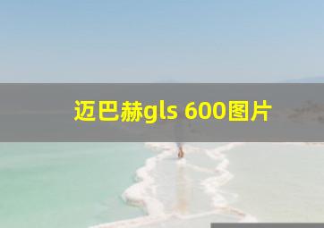 迈巴赫gls 600图片